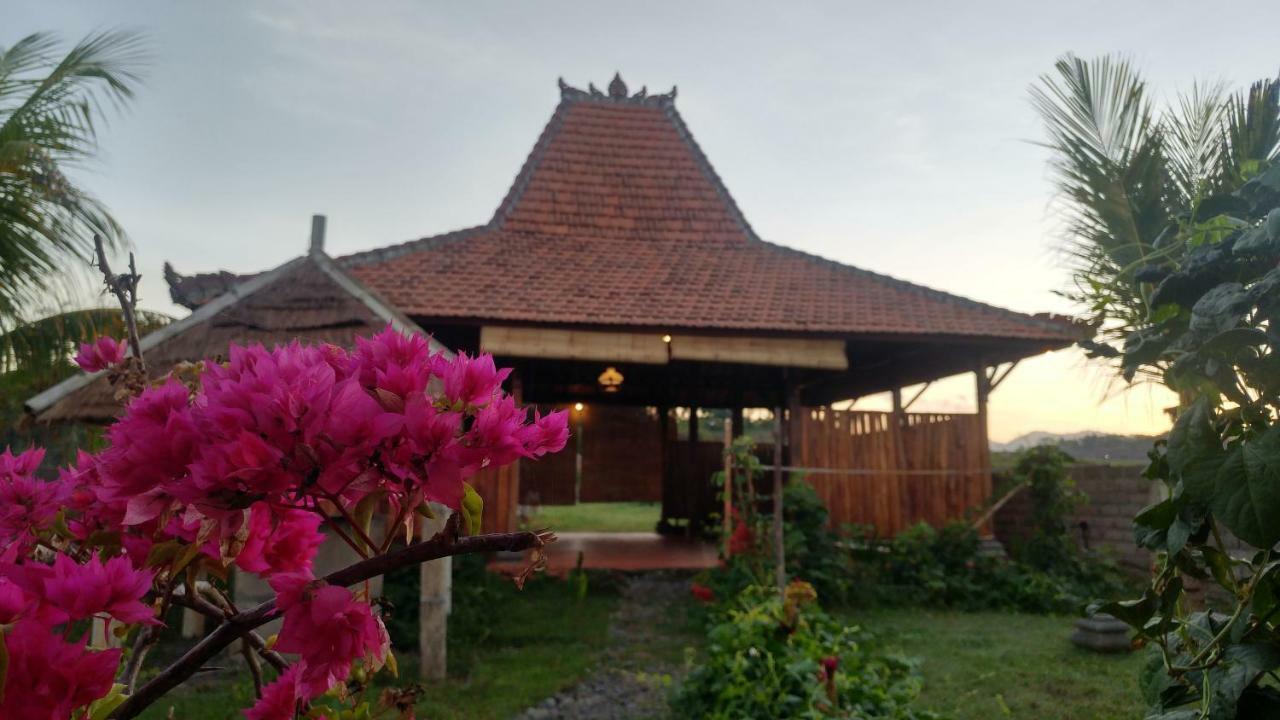 Bali Tiger Hideaway Pulukan Exterior photo